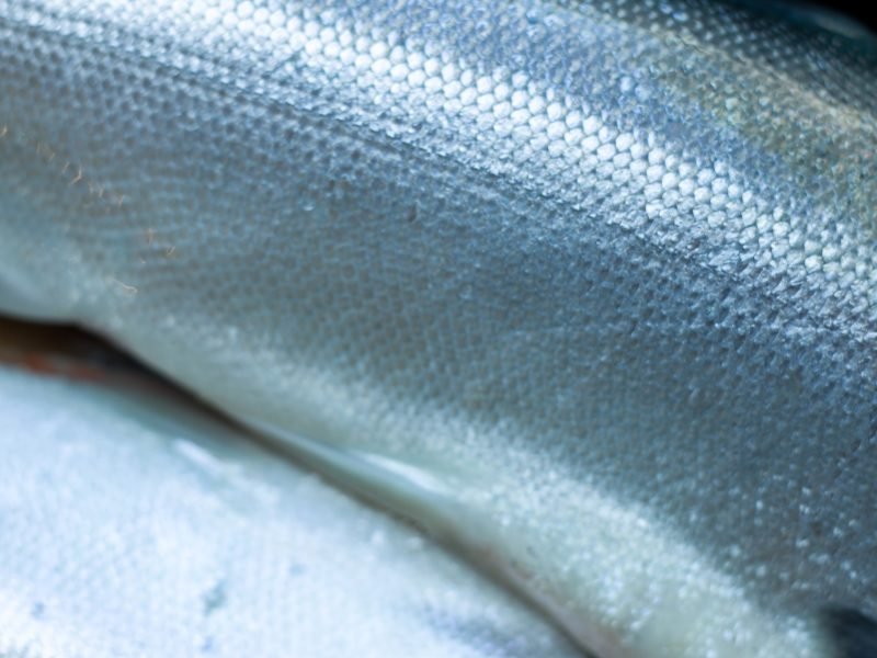 Close-up image of shimmering fish scales, showcasing the intricate texture and iridescent coloration typical of fresh seafood. Ideal for culinary or marine biology discussions.