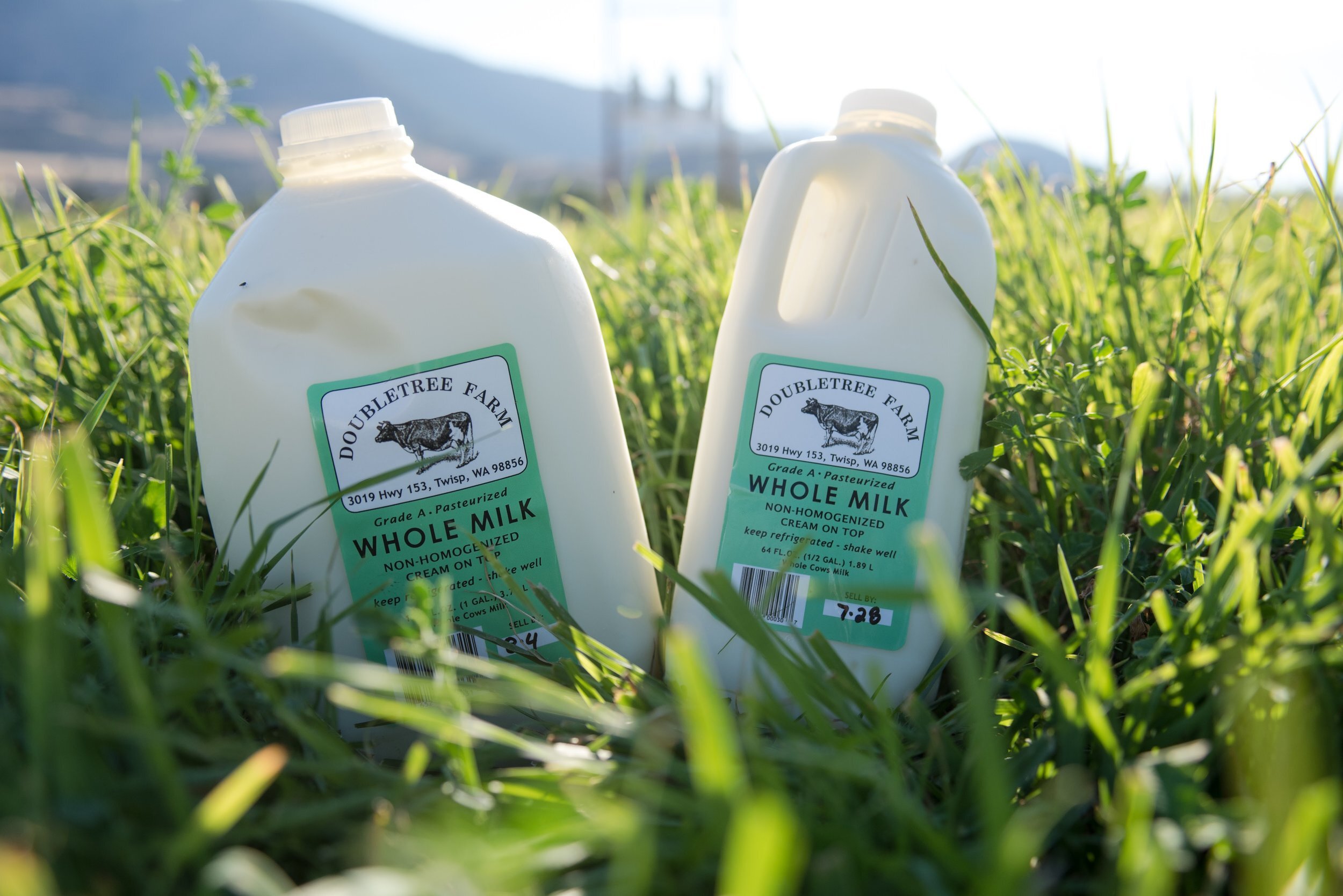 Two jugs of Doubletree Farm whole milk, labeled as Grade A and pasteurized, sit in a grassy field with mountains in the background. The jugs are non-homogenized, featuring cream on top and instructions to shake well.