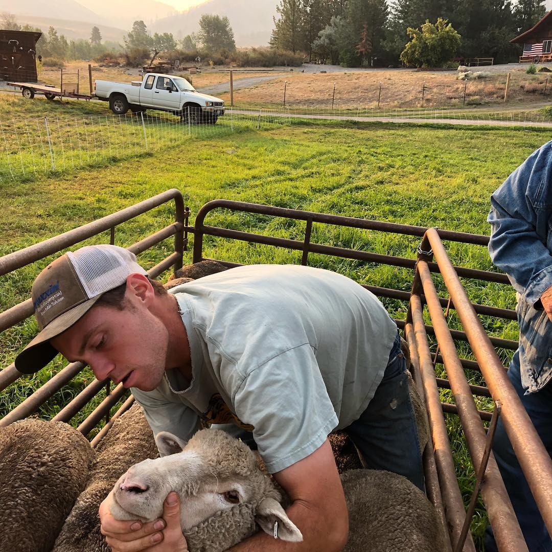 Young farmer gently handling a sheep in a livestock pen, with a pickup truck and scenic countryside in the background. The image captures the rural lifestyle and the bond between farmers and their animals.
