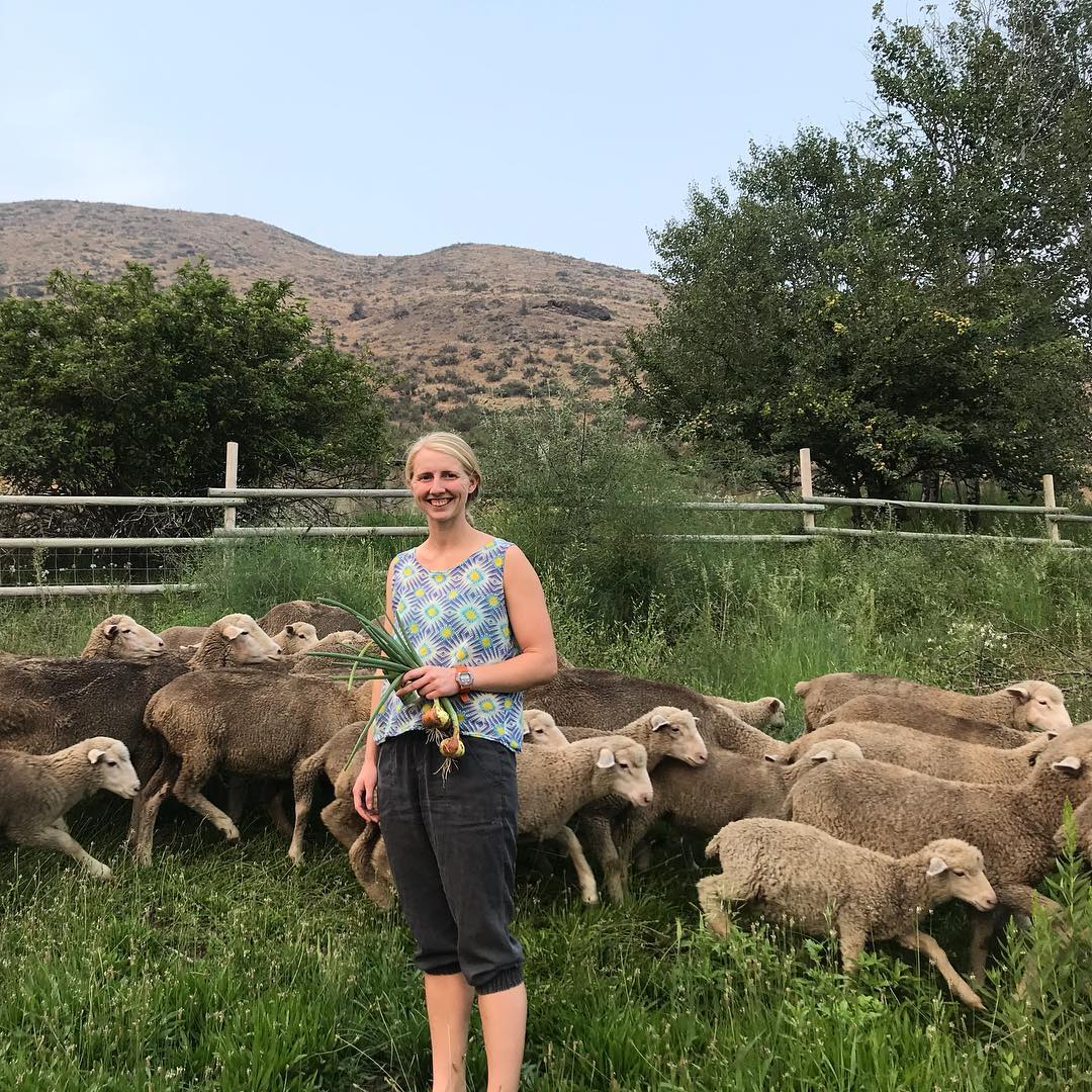 Woman holding fresh vegetables stands among sheep in a lush green pasture with mountains in the background, showcasing sustainable farming practices and livestock management.