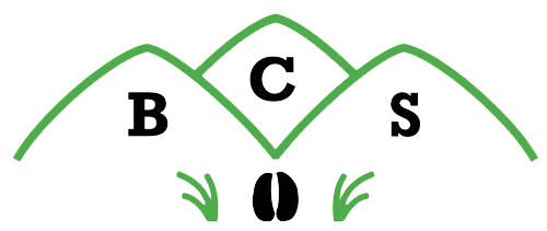 Logo of BCS featuring stylized green mountains and coffee beans, symbolizing sustainability and the coffee industry.